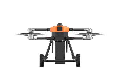 美女的隐藏部位是什么图片