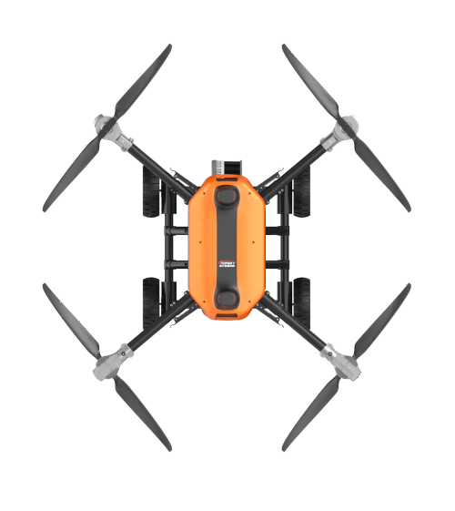 美女的隐藏部位是什么图片