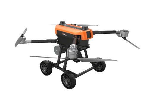 美女的隐藏部位是什么图片