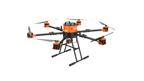 美女的隐藏部位是什么图片