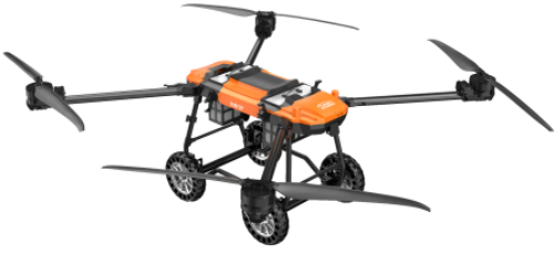 美女的隐藏部位是什么图片