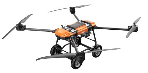 美女的隐藏部位是什么图片