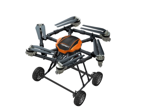 美女的隐藏部位是什么图片