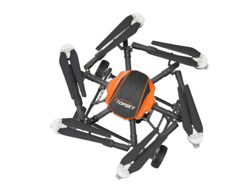 美女的隐藏部位是什么图片