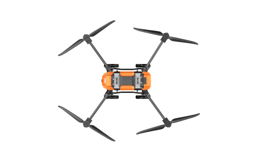 美女的隐藏部位是什么图片