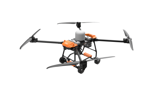 美女的隐藏部位是什么图片