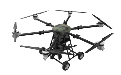 美女的隐藏部位是什么图片