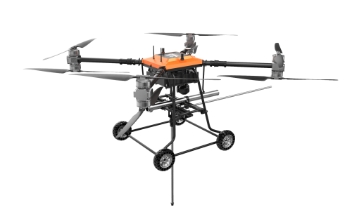 美女的隐藏部位是什么图片