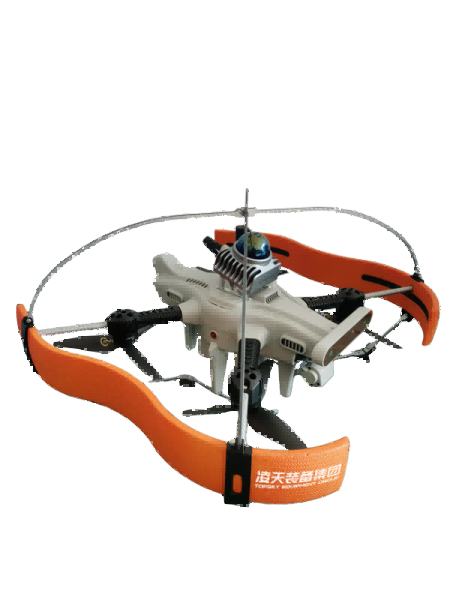 美女的隐藏部位是什么图片