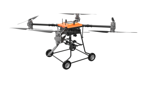 美女的隐藏部位是什么图片