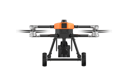 美女的隐藏部位是什么图片