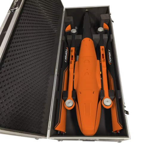 美女的隐藏部位是什么图片