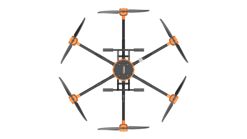 美女的隐藏部位是什么图片