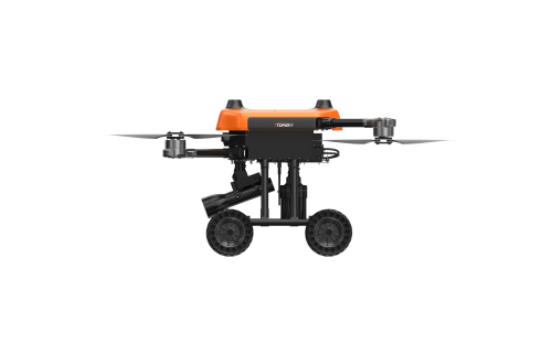 美女的隐藏部位是什么图片