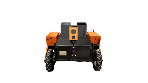 美女的隐藏部位是什么图片