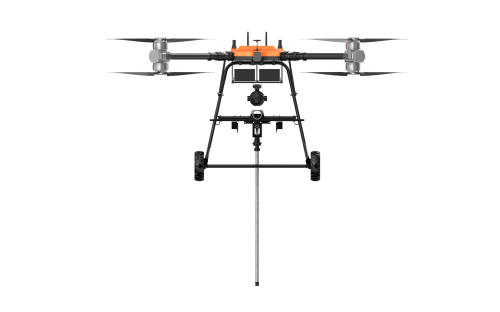 美女的隐藏部位是什么图片