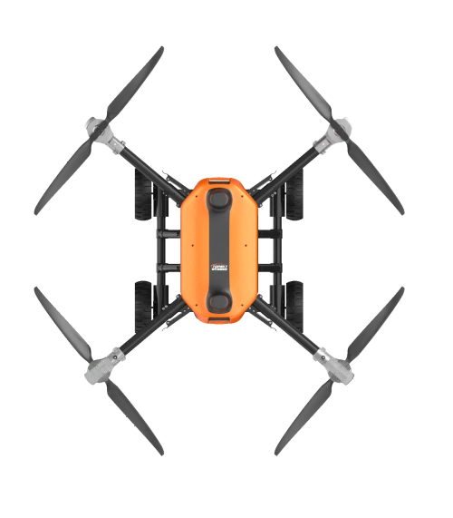 美女的隐藏部位是什么图片