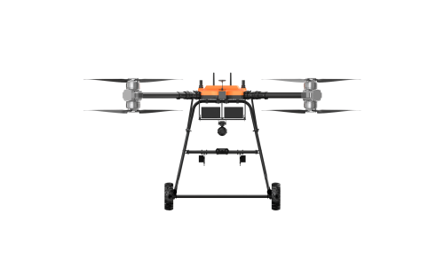 美女的隐藏部位是什么图片