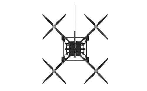 美女的隐藏部位是什么图片