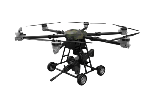 美女的隐藏部位是什么图片