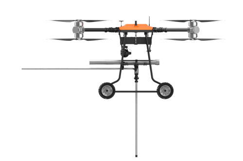 美女的隐藏部位是什么图片