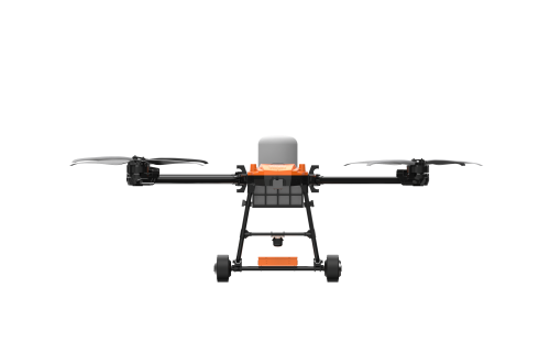 美女的隐藏部位是什么图片