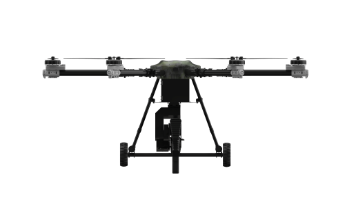 美女的隐藏部位是什么图片