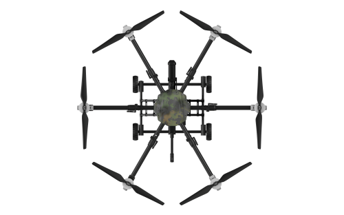 美女的隐藏部位是什么图片