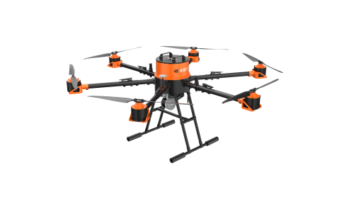 美女的隐藏部位是什么图片