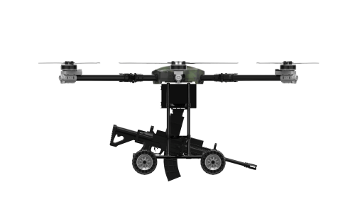 美女的隐藏部位是什么图片