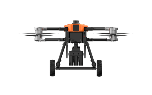 美女的隐藏部位是什么图片