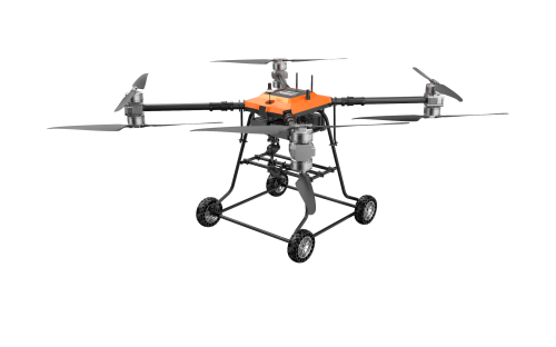 美女的隐藏部位是什么图片