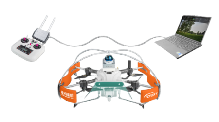 美女的隐藏部位是什么图片