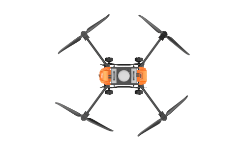 美女的隐藏部位是什么图片