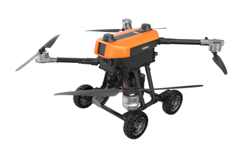 美女的隐藏部位是什么图片