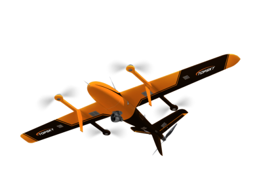 美女的隐藏部位是什么图片