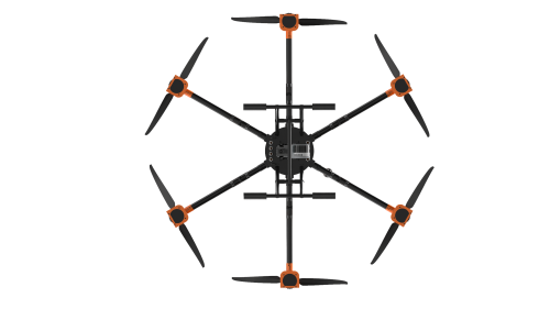 美女的隐藏部位是什么图片