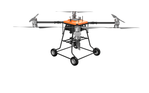 美女的隐藏部位是什么图片