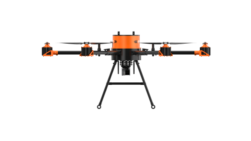 美女的隐藏部位是什么图片