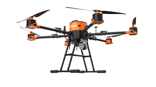 美女的隐藏部位是什么图片