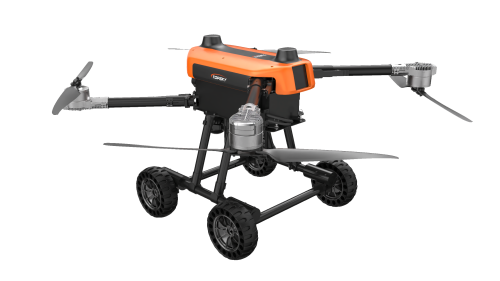 美女的隐藏部位是什么图片