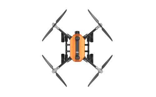 美女的隐藏部位是什么图片