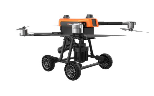 美女的隐藏部位是什么图片