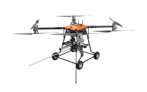 美女的隐藏部位是什么图片