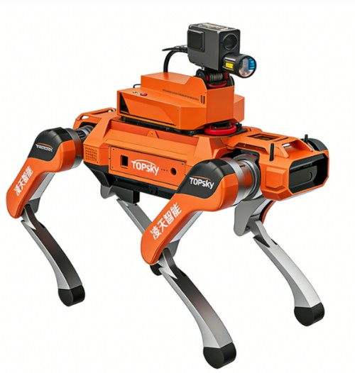 美女的隐藏部位是什么图片