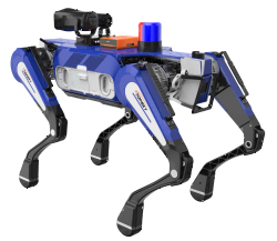 美女的隐藏部位是什么图片